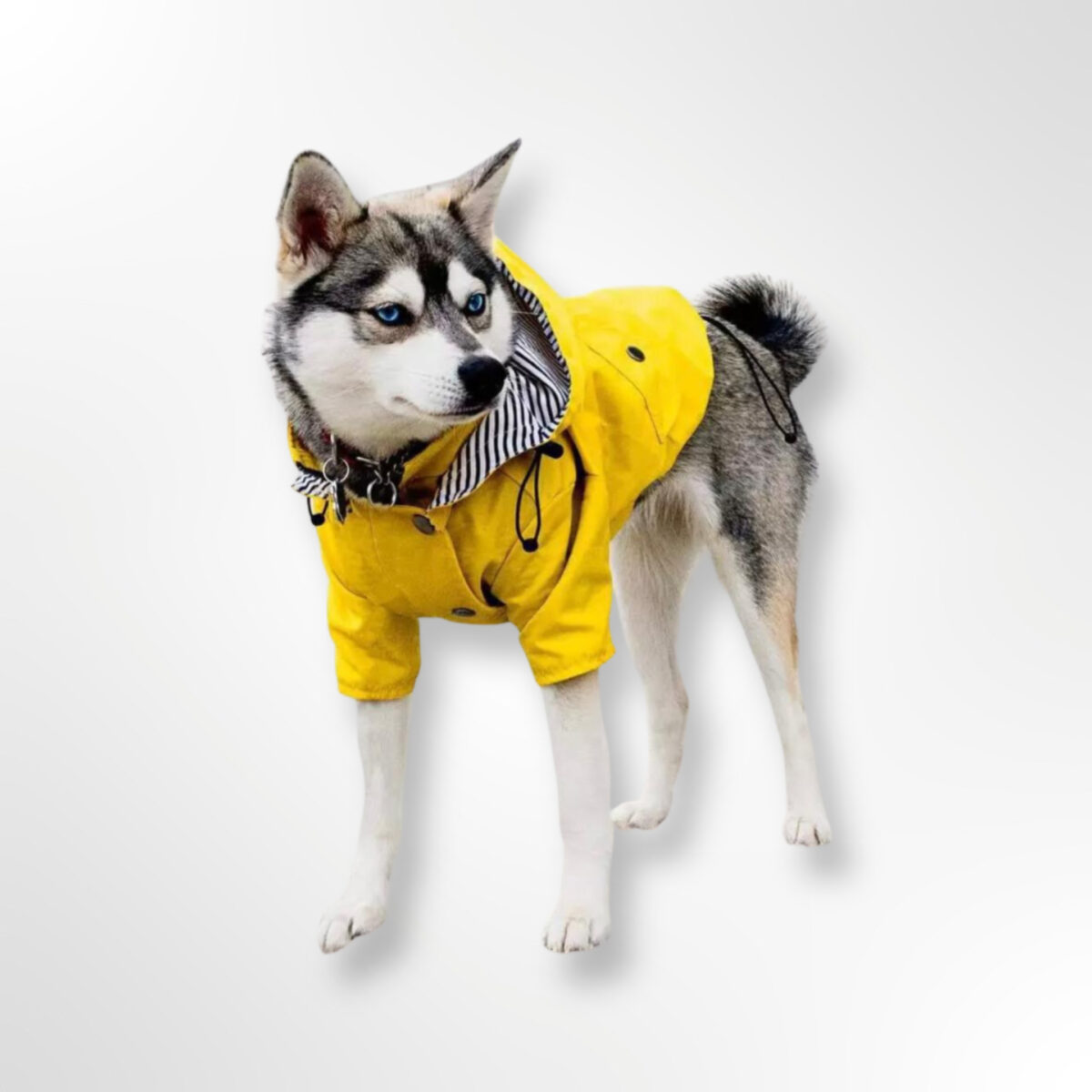 Impermeable Spring Amarillo - Imagen 2