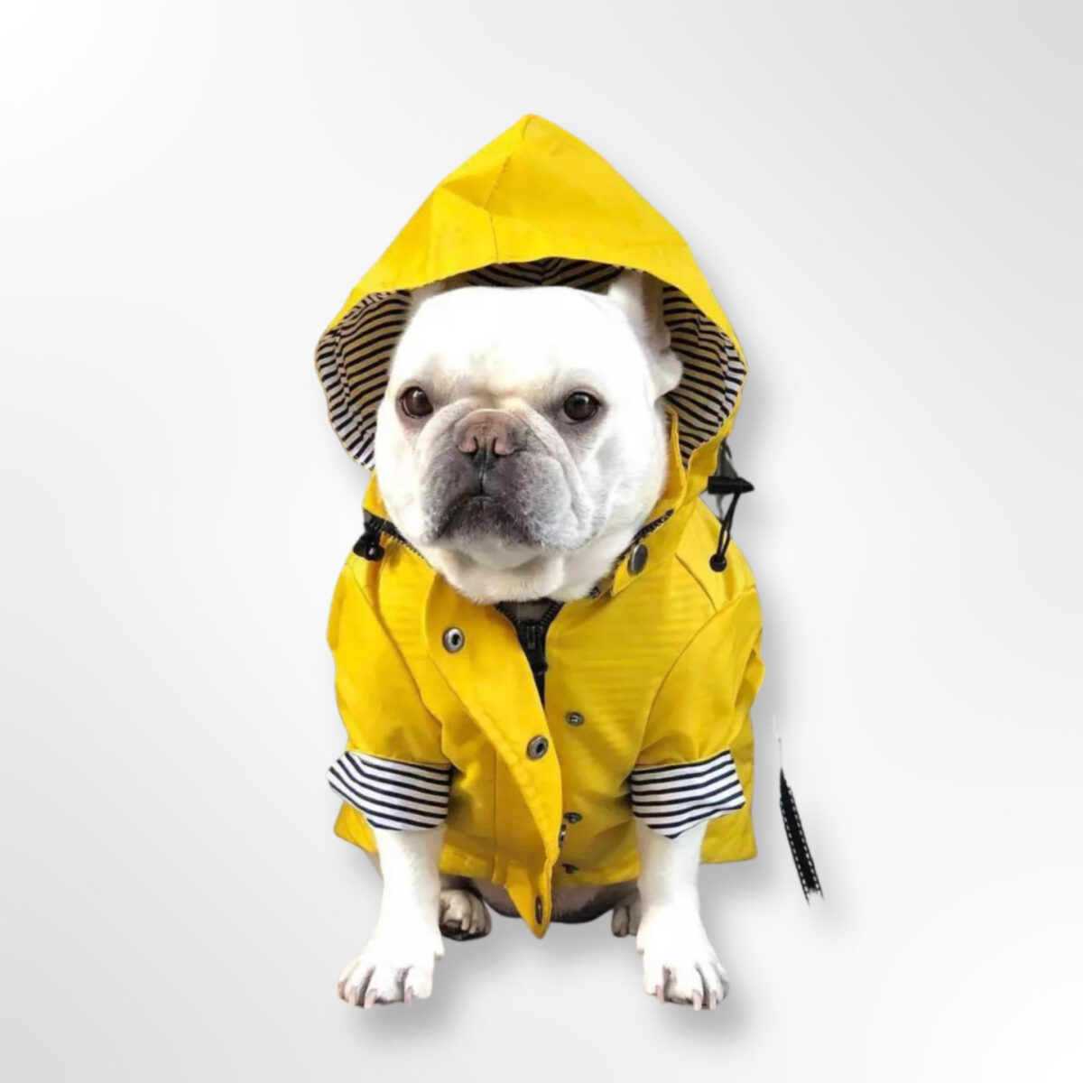 Impermeable Spring Amarillo - Imagen 1