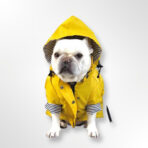 Impermeable Spring Amarillo