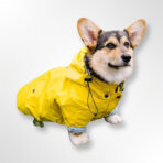 Impermeable Spring Amarillo - Imagen 3