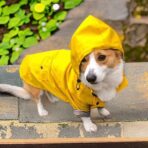 Impermeable Spring Amarillo - Imagen 4