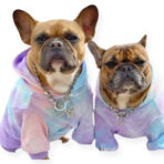 PET-À-PORTER Sudadera para perro modelo urban, suave, con capucha, color tiedye, varias tallas.