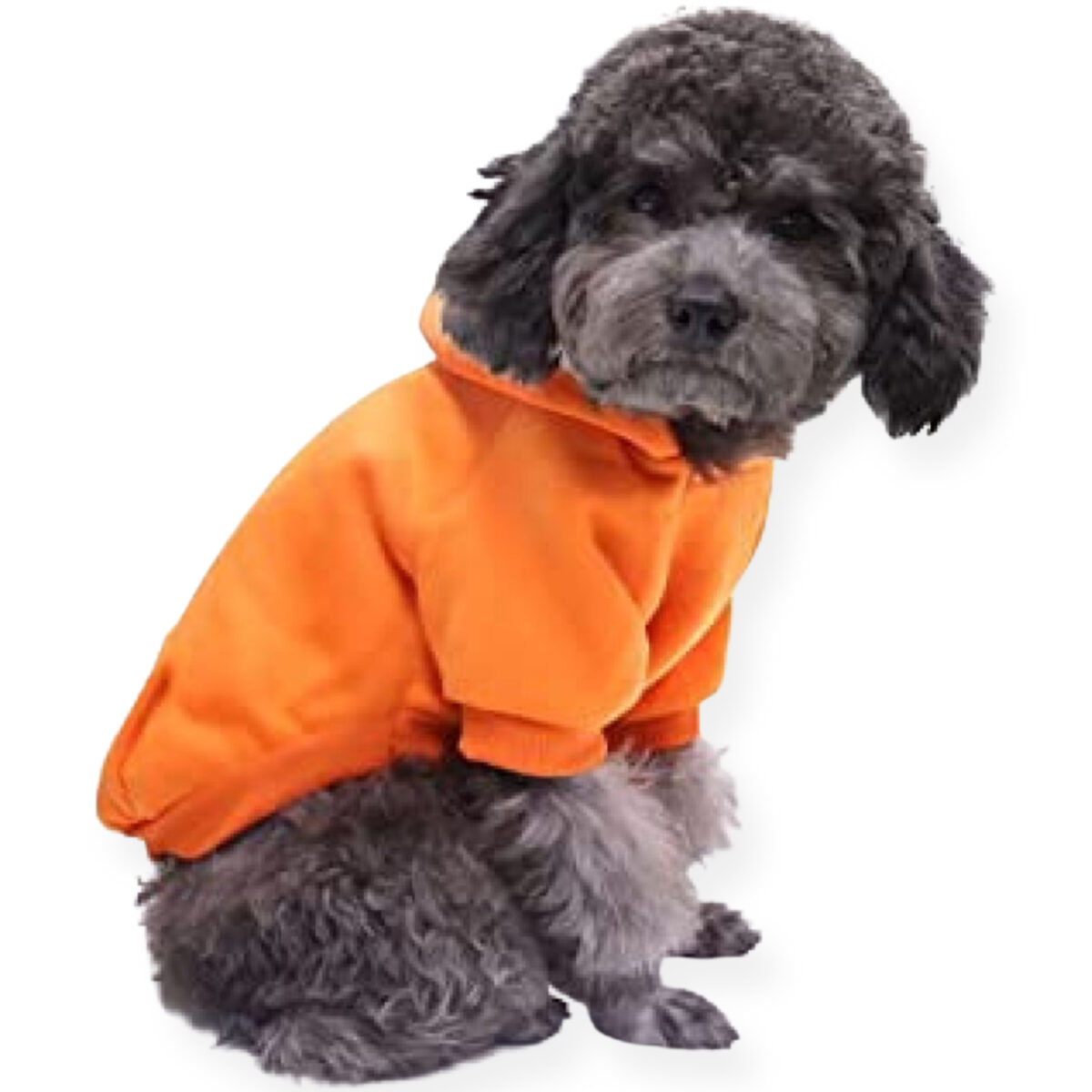 PET-À-PORTER Sudadera para perro modelo urban, suave, con capucha, color narangja, varias tallas. - Imagen 1