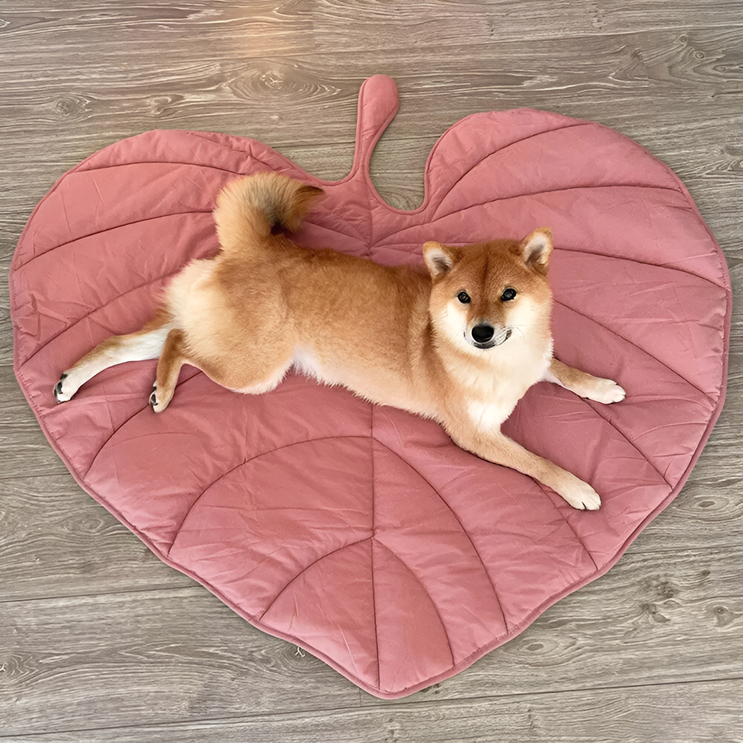 PET-À-PORTER Comodo y fresco tapete para mascota, modelo Eucalipto, grande, Color Palo de Rosa - Imagen 3