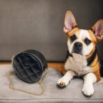 Bolsa para mascota lujo color negro - Imagen 3