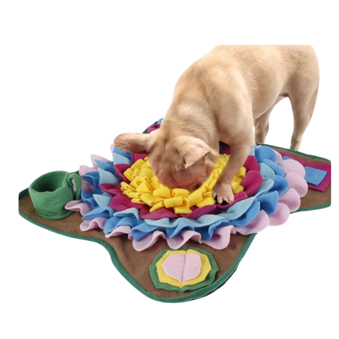 Juguete Interactivo para perro rompecabezas para estimulación mental con  forma de Cuadro con sonido - Pet a Porter