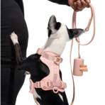 Conjunto Premium de accesorios para paseo, collar, correa, portabolsas y pechera Color Rosa - Imagen 2