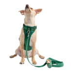 Conjunto Premium de accesorios para paseo, collar, correa, portabolsas y pechera Color Amarillo - Imagen 4